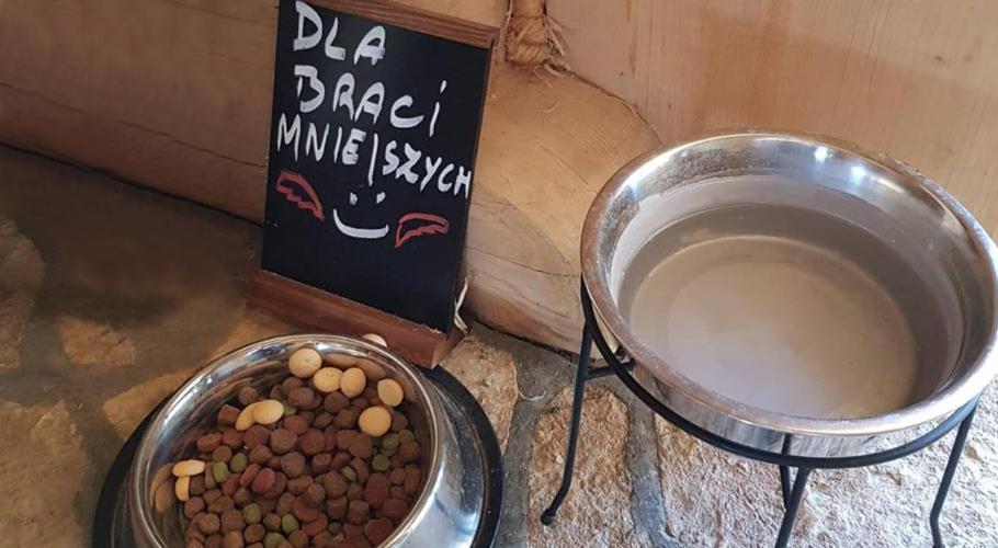 Ostoja Spokoju * Olchowiec (Bieszczady)