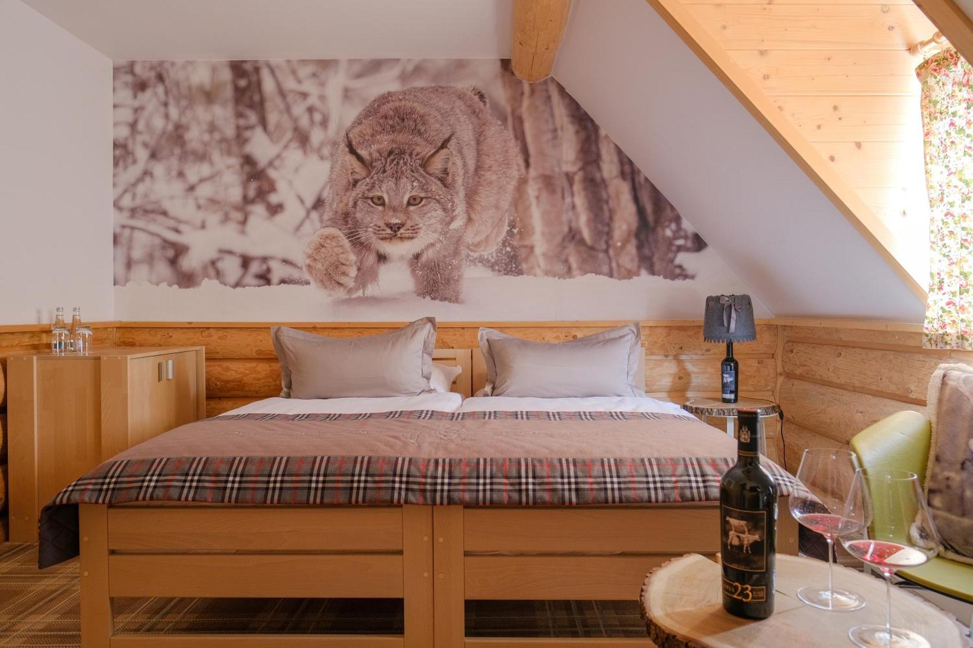Bed & Breakfast Ostoja Spokoju Olchowiec (Bieszczady)